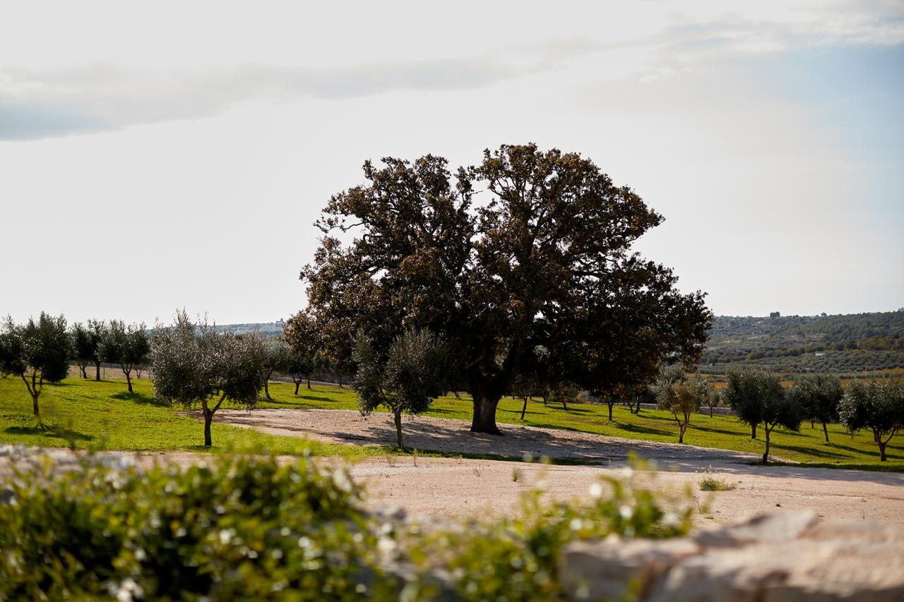 Masseria Grieco Ostuni Exterior photo